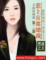通缉令总裁索欢