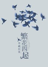 繁花()()