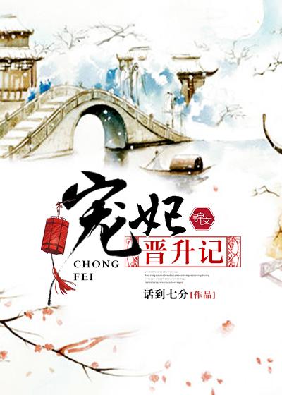 宠妃晋升札记