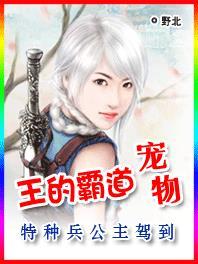 霸道王爷各种宠王妃的