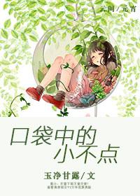 口袋里的小龙全集