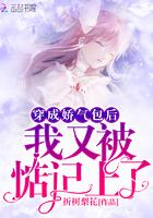 苏轩叶菲