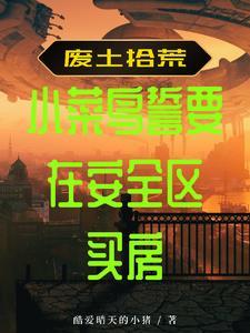 废土拾荒者