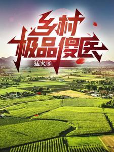乡村极品傻医全集