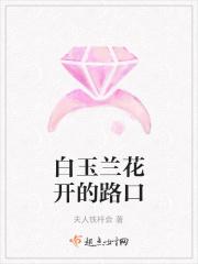 白玉兰也在燃花瓣舒展花香浓烈开的奔放落得决绝