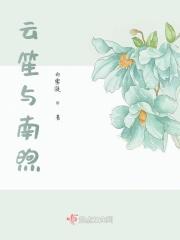 云笙免费阅读