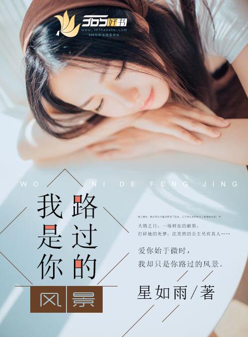 我只是你路过的一场风景歌词含义
