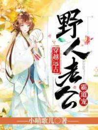 叶清心启正版阅读