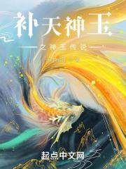 补天遗石具体阐述