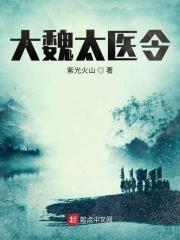 大魏太傅