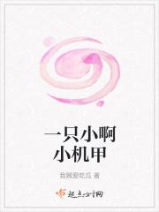 一只小甲虫阅读答案简析