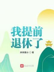 我提前退休了txt