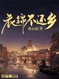 衣锦还乡的锦是什么意思