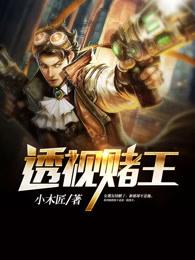 无敌透视赌石赌王