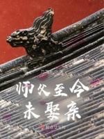 师父不在线