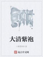 清朝的紫色龙袍