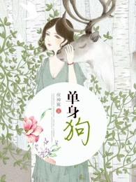 高情商说自己单身的句子