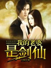 我的老婆是剑仙完整版本免费阅读