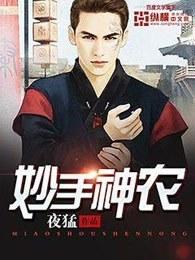 妙手神农短剧免费观看全集