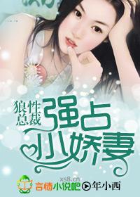狼性总裁