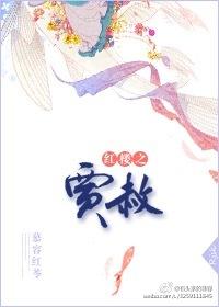 红楼之贾赦很忙