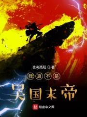 三国我真的不是谋士