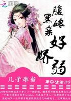 腹黑儿子极品娘亲
