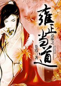 还珠之雍正驾到免费阅读
