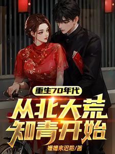 重生70年代从北大荒知青开始夕