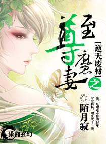 废柴逆天至尊狂凤