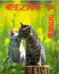 重生再来一次