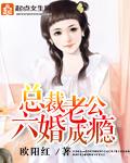 总裁老公隐个婚全文免费阅读