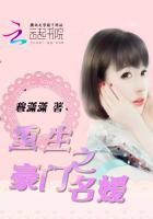 重生之名门豪妻原著
