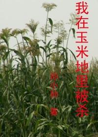 在玉米地的中央