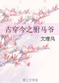 穿越古代gl驸马