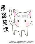 猫跑丢了怎么找最有效