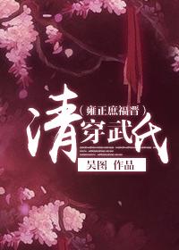 清穿雍正嫡福晋的