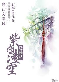 紫微作品
