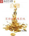 页游系统