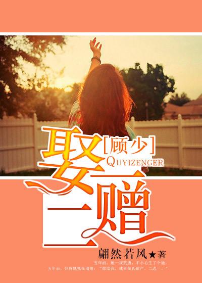 娶一赠一老婆顾情阅读全文