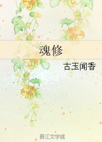 魂修的十三个境界