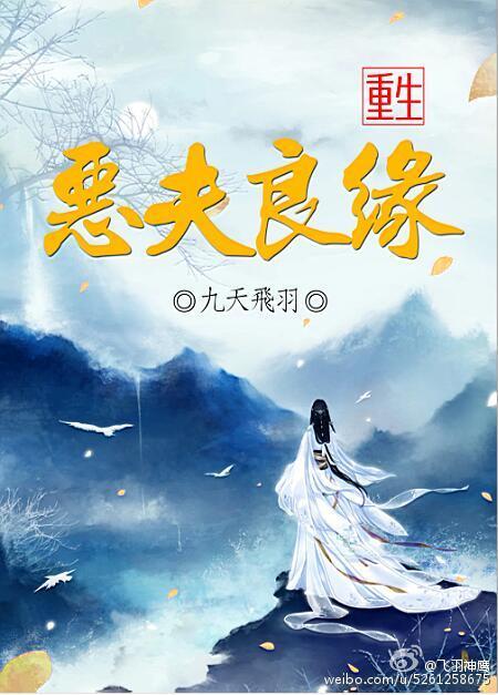 重生之恶妻当道