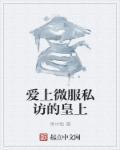 皇上微服私访