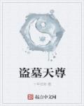 盗墓天书