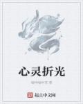 概括心灵折旧费的主要内容