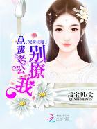 宠妻狂魔免费观看全集