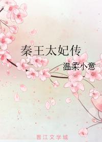秦王妃传电视剧