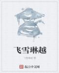 feix飞雪