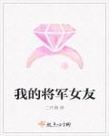 我的将军阿
