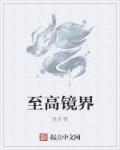 至尊境之上是什么境